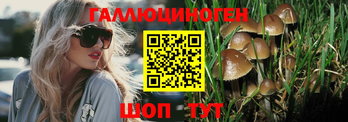 Галлюциногенные грибы мухоморы Сибай